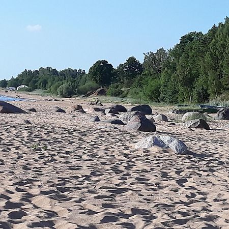 Hotel Viesu Nams Juras Bura Tūja Esterno foto