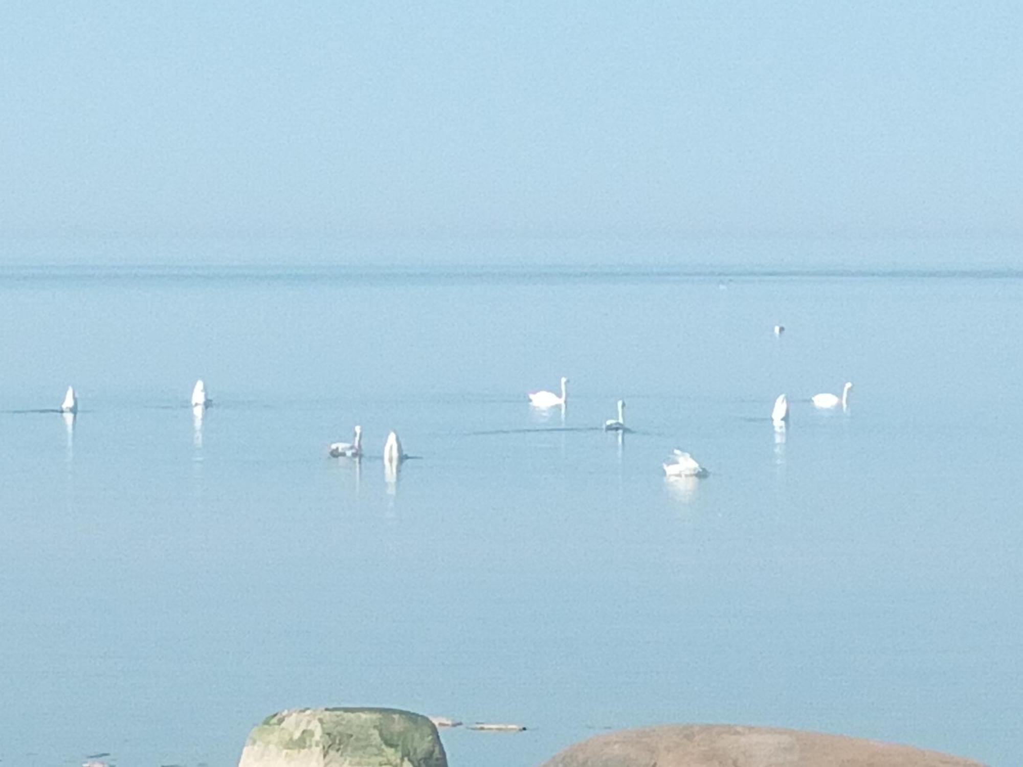 Hotel Viesu Nams Juras Bura Tūja Esterno foto